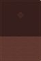 Amplified Study Bible, Imitation Leather, Brown