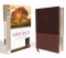 Amplified Study Bible, Imitation Leather, Brown