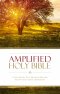 Amplified Holy Bible Hardback Theological Notes Verse Reference Two Column Text Format Bible