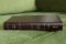 Amplified Thinline Holy Bible: Burgundy, Bonded Leather, Thumb Indexed