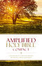 Amplified Bible Compact, Brown, Hardback, Footnotes, Presentation Page, Translation Introduction