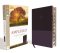 Amplified Study Bible, Imitation Leather, Purple, Indexed