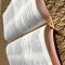 NIV, Bible for Teens, Thinline Edition, Leathersoft, Pink, Red Letter, Comfort Print