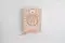 The Jesus Bible Artist Edition, ESV, Leathersoft, Peach Floral