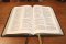 NRSVue, Holy Bible, Personal Size, Leathersoft, Brown, Comfort Print