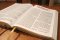 NRSVue, Holy Bible with Apocrypha, Leathersoft, Brown, Comfort Print