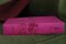 NIrV, Holy Bible, Large Print, Imitation Leather, Pink