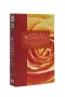 NRSV Catholic Women's Devotional Bible