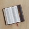 KJV Classic Companion Bible: Burgundy, Bonded Leather, Snap-Flap 