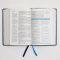 NIV, Lucado Encouraging Word Bible, Leathersoft, Blue, Comfort Print