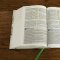 Evangelical Study Bible: Christ-centered. Faith-building. Mission-focused. (NKJV, Hardcover, Red Letter, Large Comfort Print)