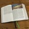 Evangelical Study Bible: Christ-centered. Faith-building. Mission-focused. (NKJV, Hardcover, Red Letter, Large Comfort Print)