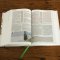 Evangelical Study Bible: Christ-centered. Faith-building. Mission-focused. (NKJV, Pink Leathersoft, Red Letter, Thumb Indexed, Large Comfort Print)