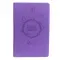 International Children's Bible (ICB) Holy Bible, Leathersoft, Purple