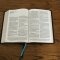 NKJV, Large Print Thinline Reference Bible, Blue Letter, Maclaren Series, Leathersoft, Brown, Thumb Indexed, Comfort Print