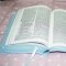 International Children's Bible (ICB) Really Woolly Bible: Pink, Leathersoft