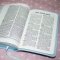 International Children's Bible (ICB) Really Woolly Bible: Pink, Leathersoft