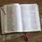 NKJV, Compact Center-Column Reference Bible, Brown Leathersoft, Red Letter, Comfort Print (Thumb Indexed)