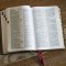 NKJV, Compact Center-Column Reference Bible, Dark Rose Leathersoft, Red Letter, Comfort Print (Thumb Indexed)