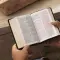 KJV Holy Bible: Compact with 43,000 Cross References, Purple Softcover, Red Letter, Comfort Print: King James Version