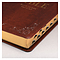 KJV Standard Size Thumb Index Edition: Burgundy, Ribbon Marker, Presentation Page, Gilt Edges