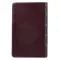 KJV Giant Print Lux-Leather Pink/Brown