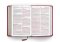 ESV Large Print Compact Bible, Red Letter (TruTone, Berry, Floral Design)