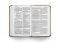 ESV Large Print Value Thinline Bible (TruTone, Chestnut)