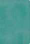 ESV Student Study Bible (Trutone, Turquoise)