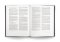 ESV Panorama New Testament (Cloth over Board, Gray)