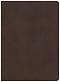 CSB Study Bible, Brown Genuine Leather, Indexed