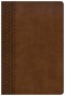 CSB Everyday Study Bible, British Tan LeatherTouch