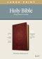 KJV Large Print Thinline Reference Bible, Filament Enabled (LeatherLike, Ornate Burgundy, Red Letter)