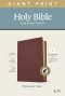 KJV Personal Size Giant Print Bible, Filament Enabled (Genuine Leather, Burgundy, Indexed, Red Letter)