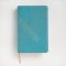 NLT Student Life Application Study Bible, Filament Enabled (LeatherLike, Teal Blue Striped, Indexed, Red Letter)