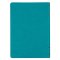 NLT Spiritual Growth Bible, Teal, Imitation Leather, Articles, Book Introductions, Character Profiles, Cross-References, Topical Index, Presentation Page, Ribbon Markers, Thumb Index, Gilt Edge