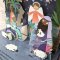 Christmas Pop Up Book - The Nativity