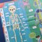 Large Question-And-Answer Flap Book - Human Body