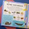 Nature Look And Find Board Book - Minibeasts