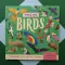 Nature Look And Find Board Book - Birds