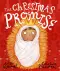 The Christmas Promise Storybook