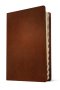 NLT Large Print Thinline Reference Bible, Filament Enabled (Genuine Leather, Brown, Indexed, Red Letter)