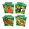 Rainforest Animal Activity Books - Pack of 12