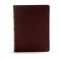 CSB Study Bible, Brown Genuine Leather, Indexed