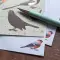 Notecard And Pen Set Boxed - Patricia Maccarthy Birds