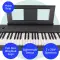 Axus AXD55 88 Note Digital Stage Piano