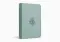 ESV Value Compact Bible (TruTone, Paris Sky, Branch Design)