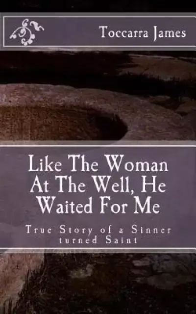 Like The Woman At The Well, He Waited for Me: A True Story of a Sinner turned Saint