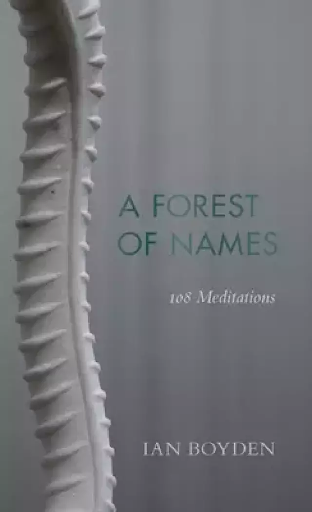 A Forest of Names: 108 Meditations