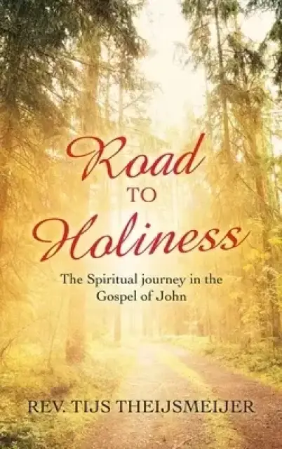 Road to Holiness: The Spiritual Journey in the Gospel of John